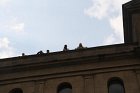 Camp 2011 (1252)